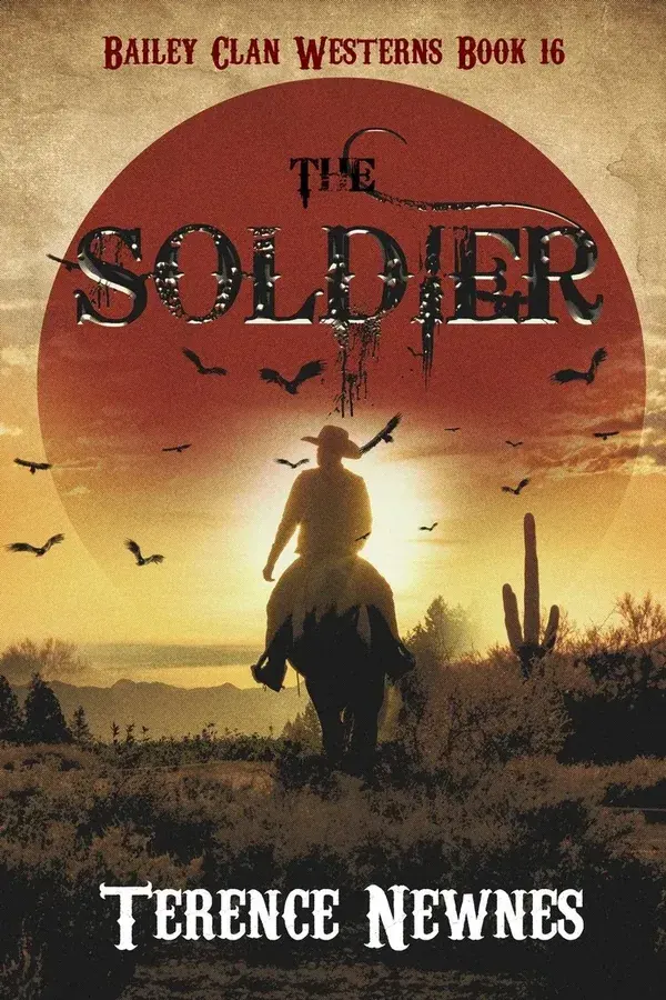 The Soldier cover