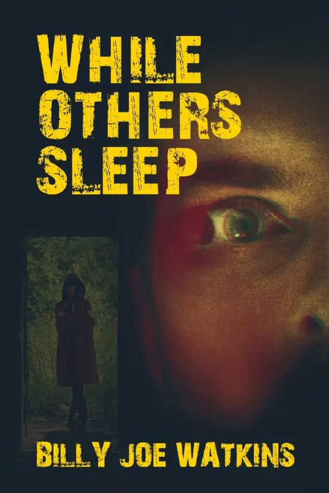 While Others Sleep cover
