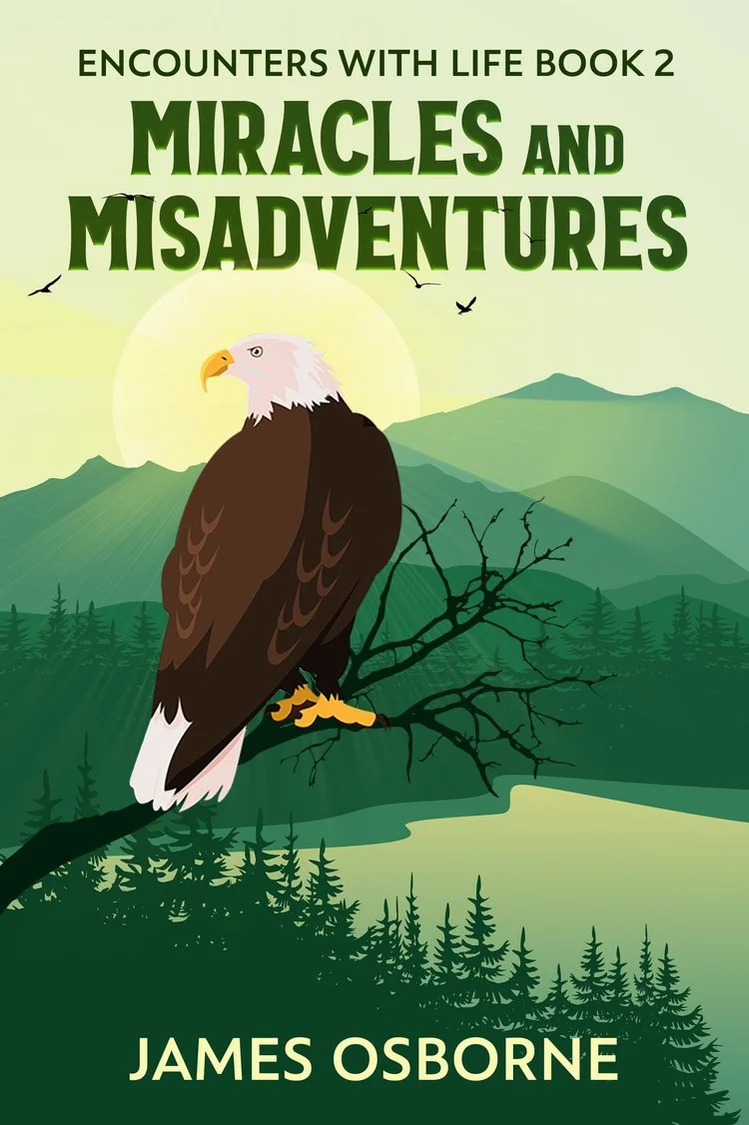 Miracles and Misadventures cover