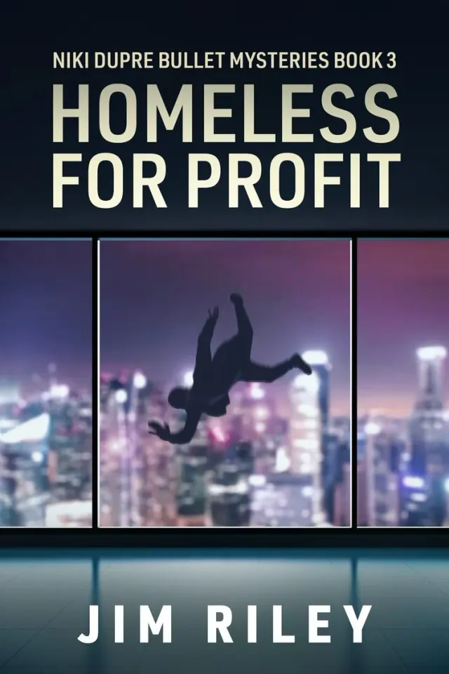 Homeless For Profit cover
