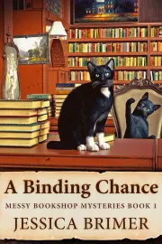 A Binding Chance cover