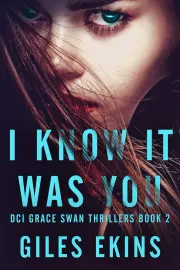 I Know It Was You cover