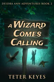 A Wizard Comes Calling cover