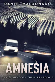 Amnesia cover