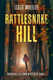 Rattlesnake Hill cover