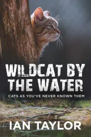 Wildcat By The Water cover