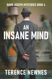 An Insane Mind cover