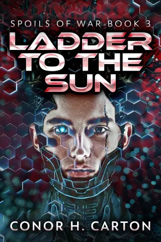 Ladder To The Sun book cover