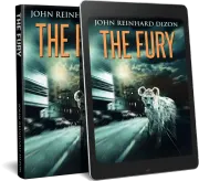 The Fury cover