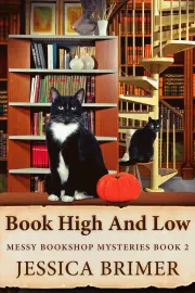 Book High And Low cover