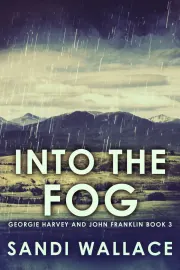 Into The Fog cover