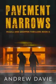 Pavement Narrows cover
