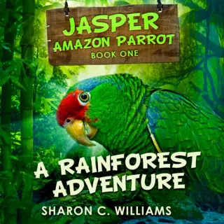 A Rainforest Adventure audiobook cover