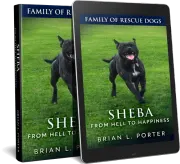 Sheba - From Hell To Happiness cover
