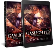 Gaslighter cover