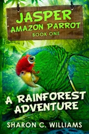 A Rainforest Adventure cover