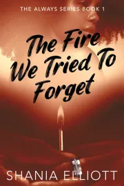 The Fire We Tried To Forget cover