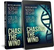 Chasing The Wind cover