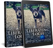 Liberating Louie cover