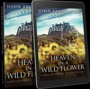 Heaven In A Wild Flower cover
