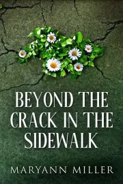 Beyond The Crack In The Sidewalk cover
