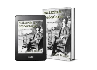 Mudlarks & Meadowlarks book cover
