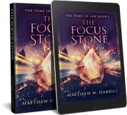 The Focus Stone cover