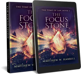 The Focus Stone book cover