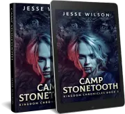 Camp Stonetooth cover