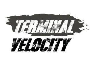 Terminal Velocity_b_t.png