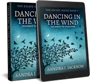 Dancing In The Wind cover