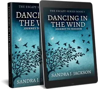 Dancing In The Wind book cover