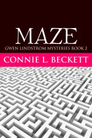 MAZE cover