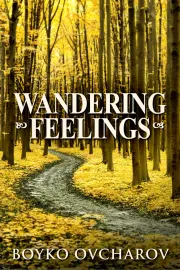 Wandering Feelings cover