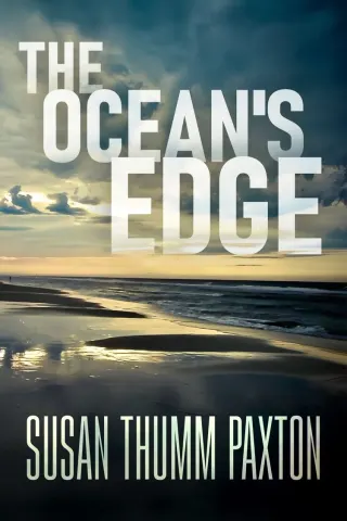 The Ocean's Edge book cover