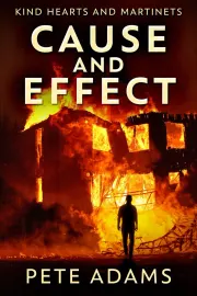 Cause And Effect cover