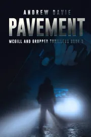 Pavement cover