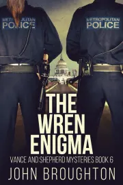 The Wren Enigma cover