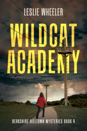 Wildcat Academy cover