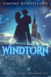 Windtorn cover
