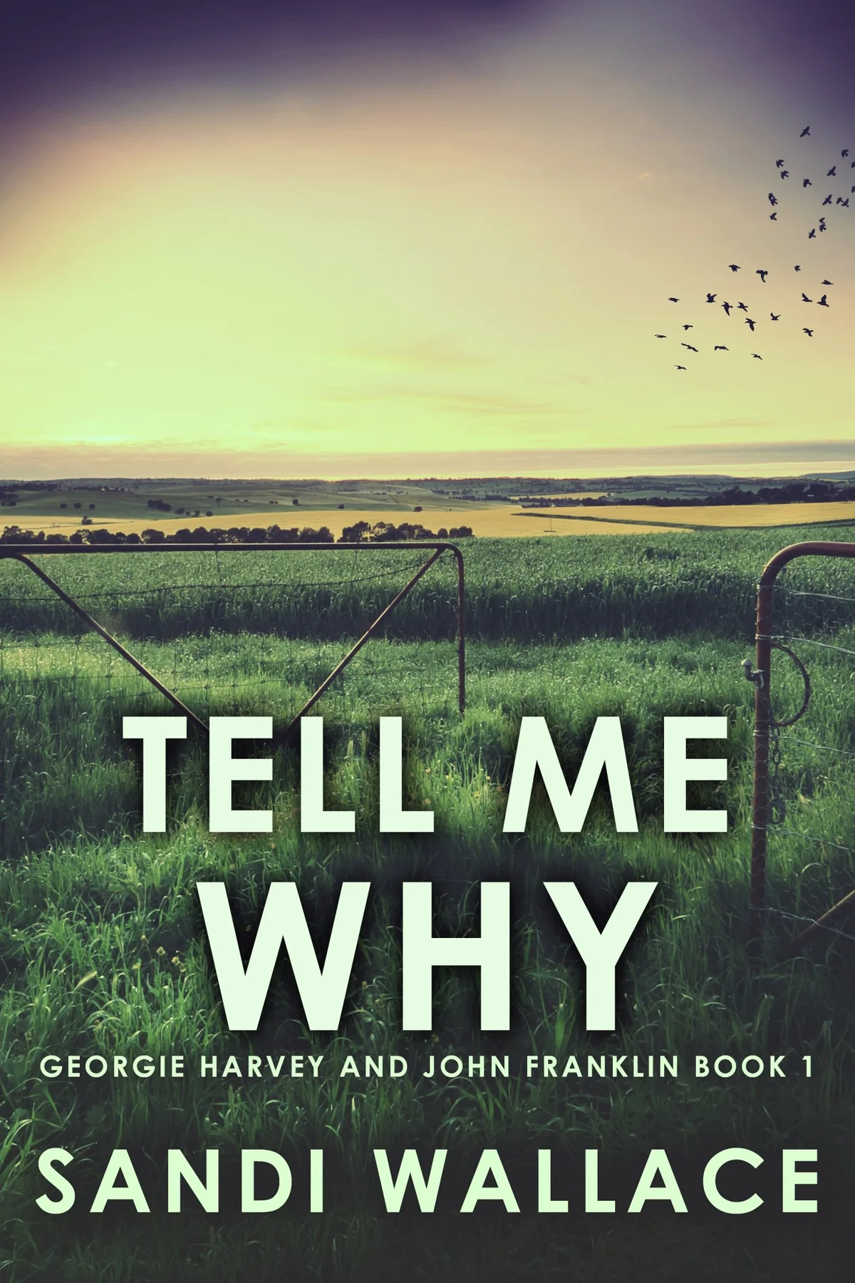Beneath Tranquil Springs: Unraveling Daylesford’s Secrets in 'Tell Me Why'