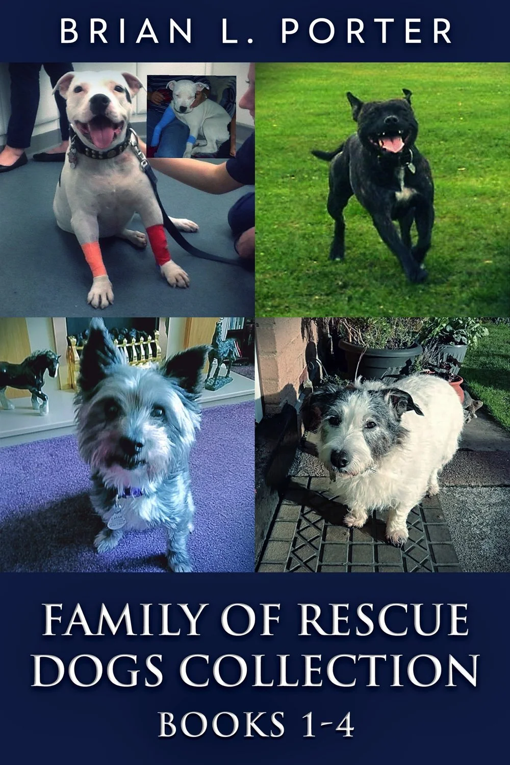 Family Of Rescue Dogs Collection - Books 1-4 cover