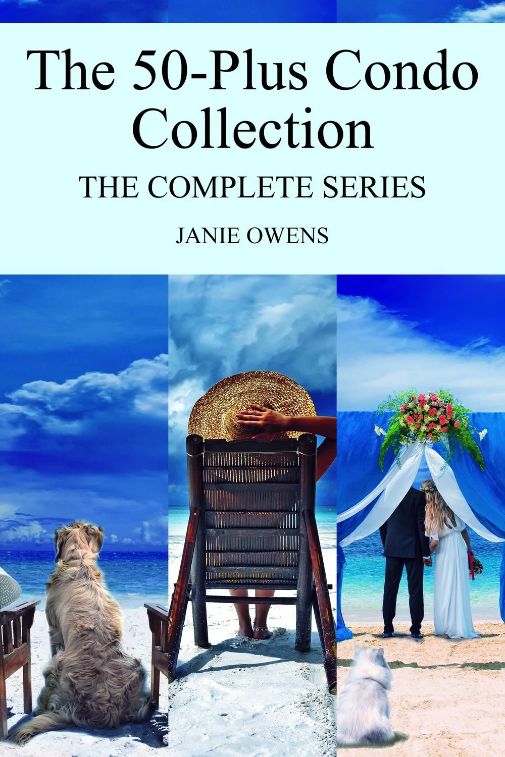 The 50-Plus Condo Collection - The Complete Series cover
