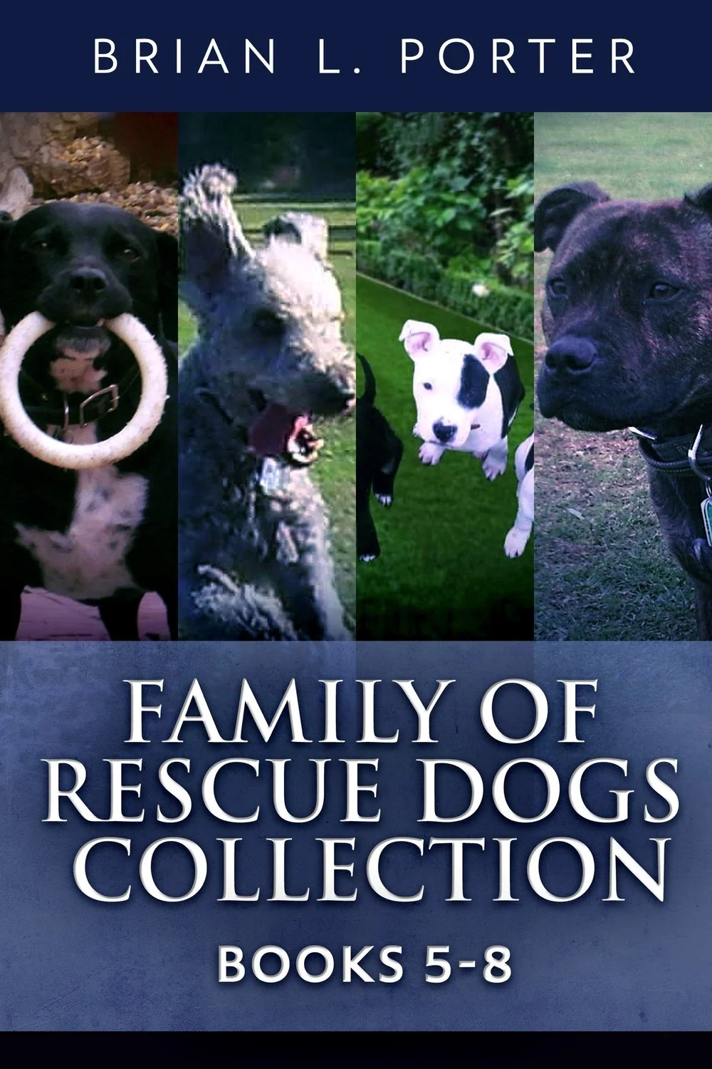 Family Of Rescue Dogs Collection - Books 5-8 cover