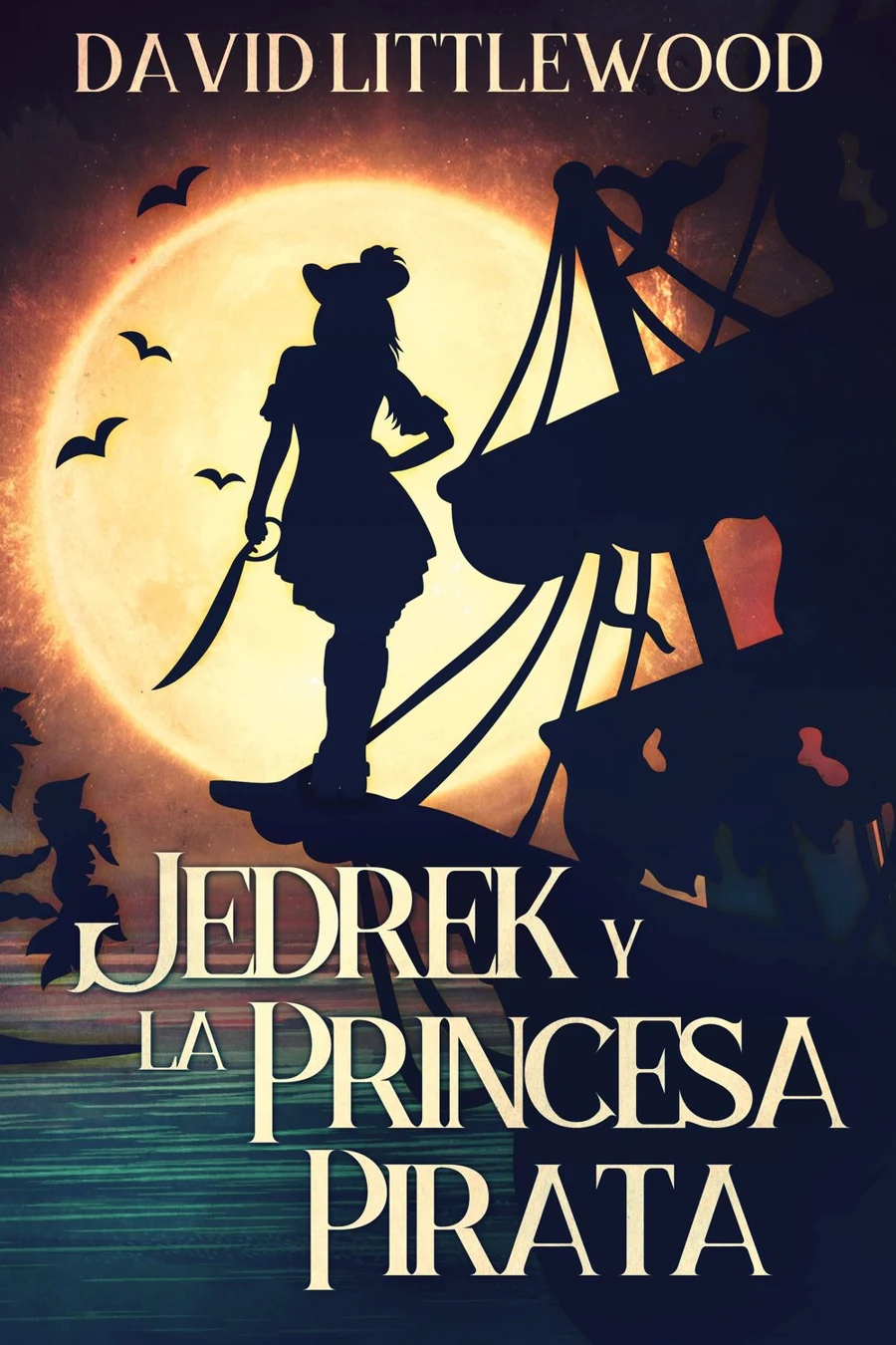Jedrek y la Princesa Pirata cover
