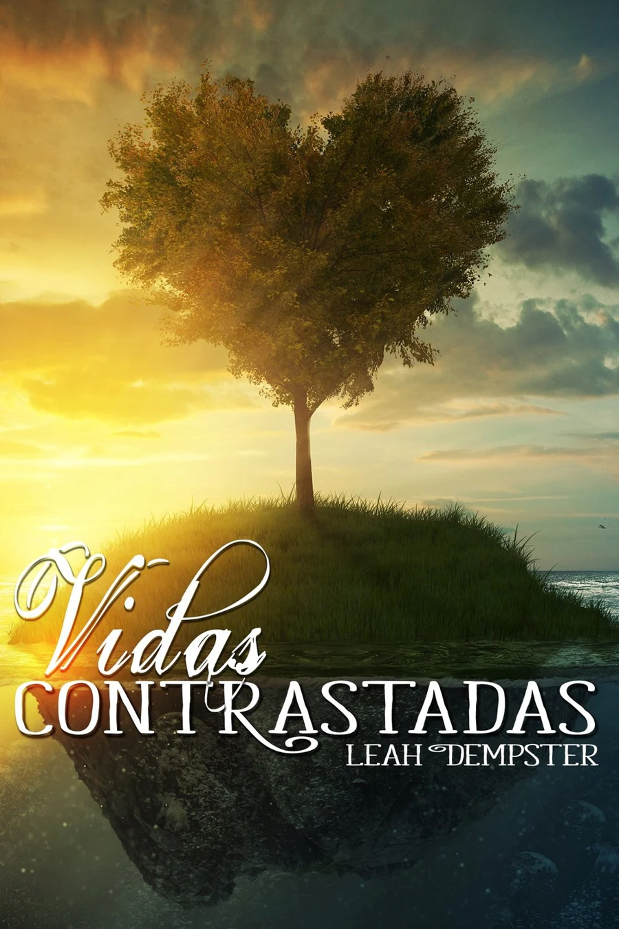 Vidas Contrastadas cover
