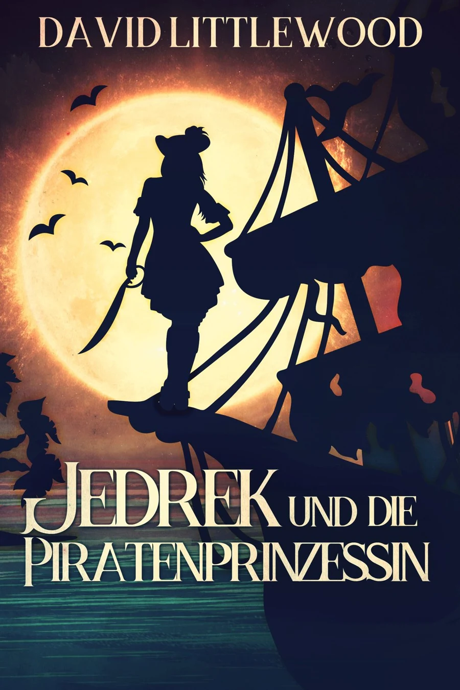 Jedrek Und Die Piratenprinzessin cover