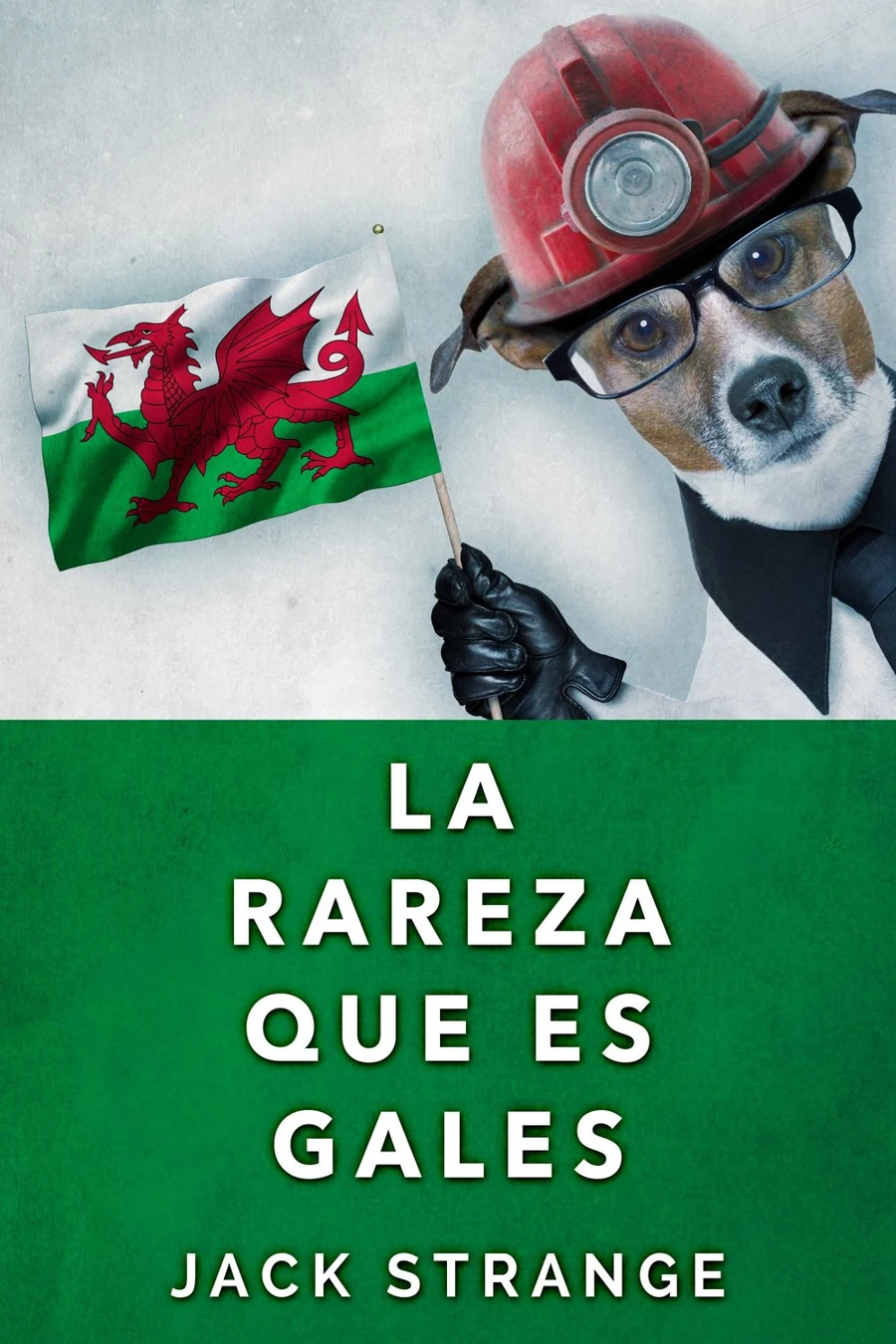 La Rareza Que Es Gales cover