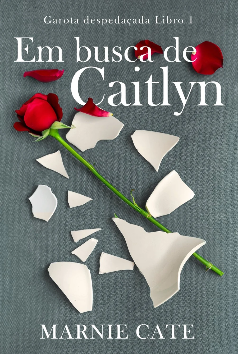 Em busca de Caitlyn cover