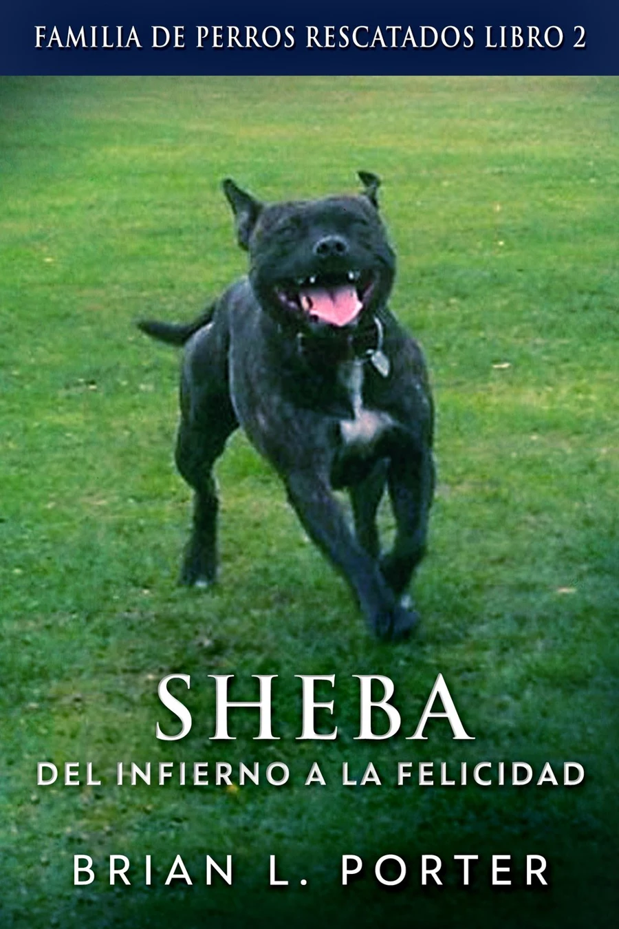 Sheba - Del Infierno a la Felicidad cover